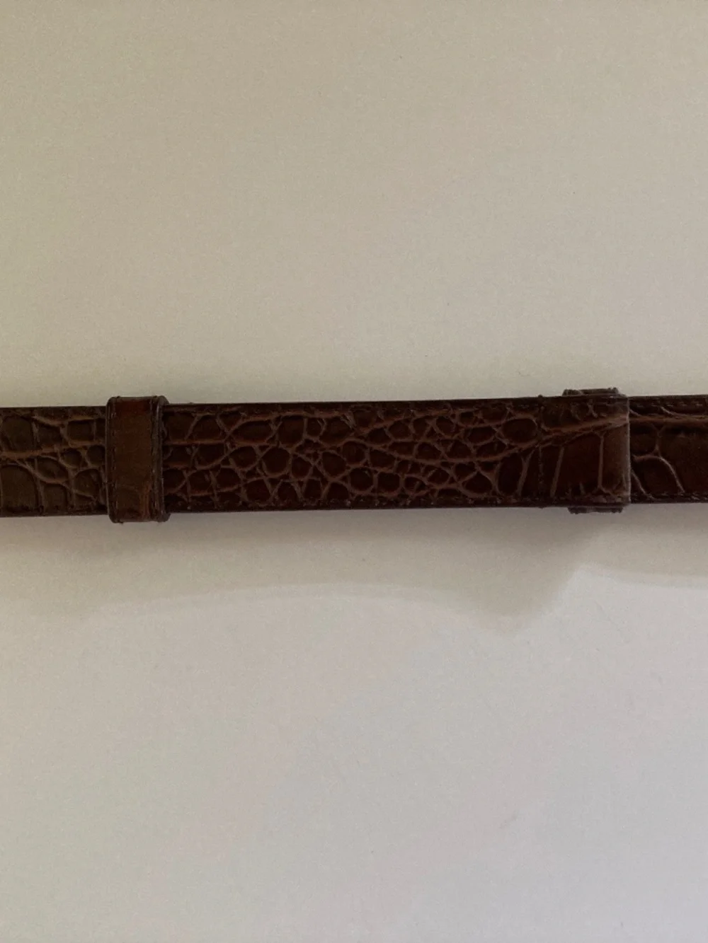 DuJour Brown Croco Embossed Skinny Belt/Gold Tone Oval Buckle/M/L/24-39